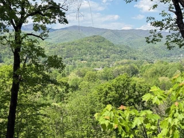 Lot 43 43 Silo View, Marble, NC 28905