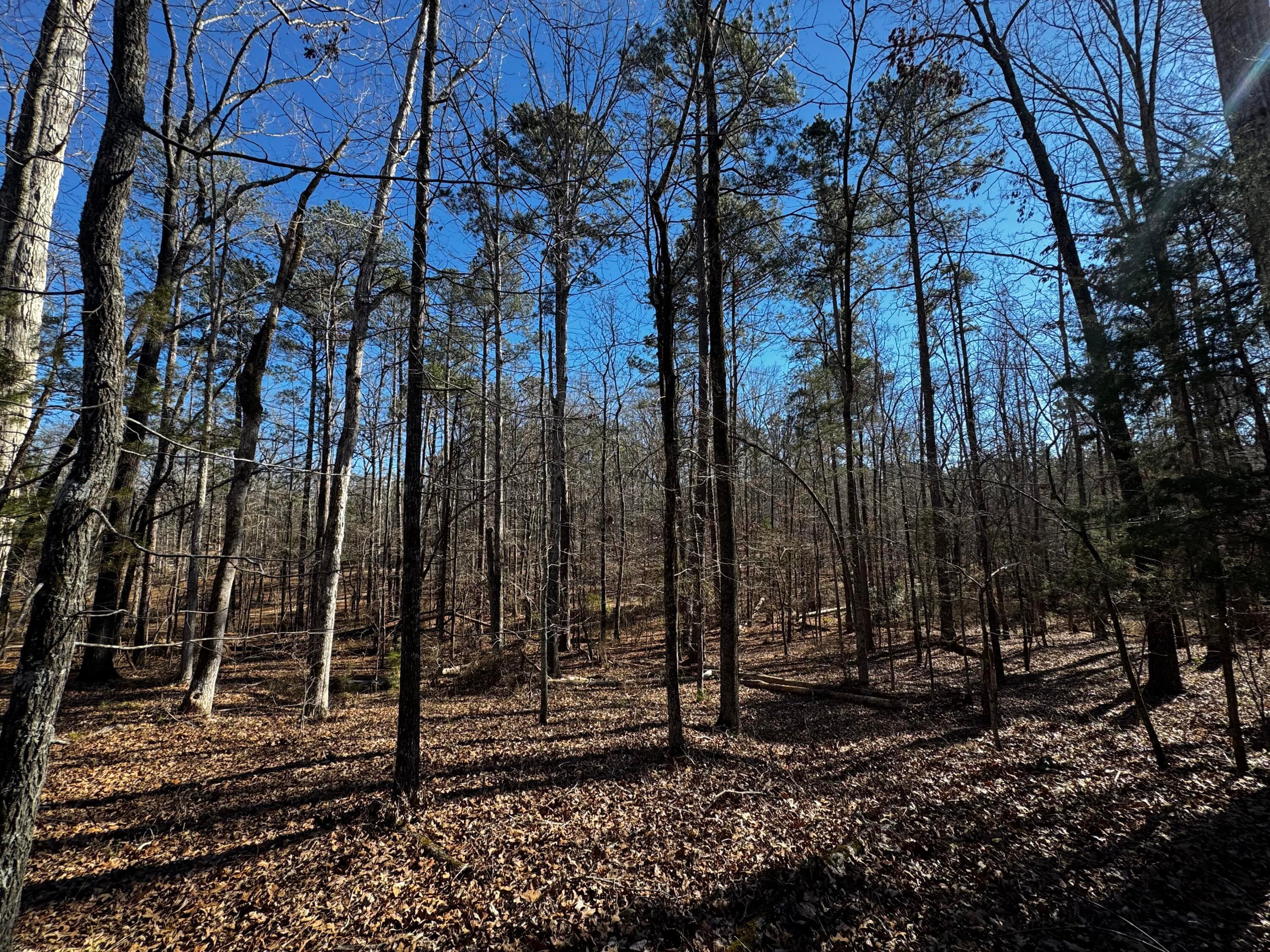 Mixed Use at 0 Forest Lake Drive, Lincolnton, GA 30817, photo 11 of 12