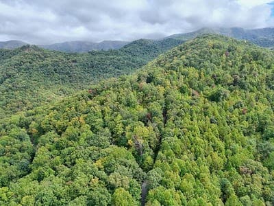 Residential Lot at Lot 21 21 Skyview, Hayesville, NC 28904, Hayesville, photo 13 of 15