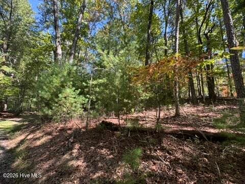 Residential Lot at Lot 1 1 Laurelwood Circle, Murphy, NC 28906, photo 8 of 24