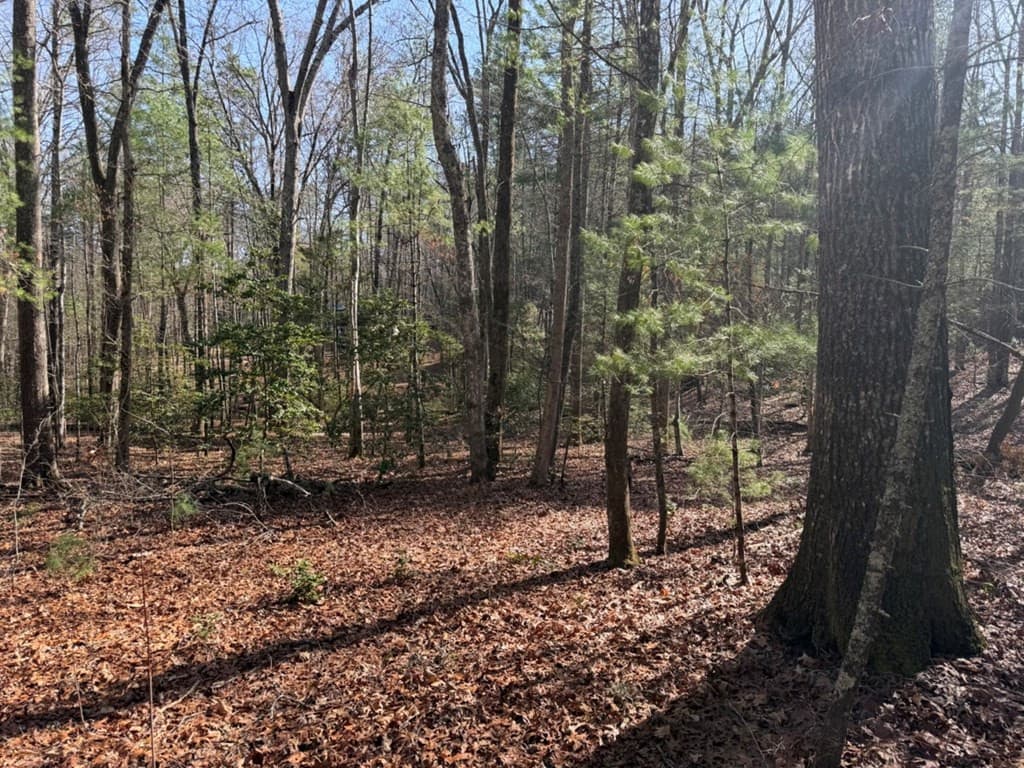 1156 9 Liberty Road, Murphy, NC 28906