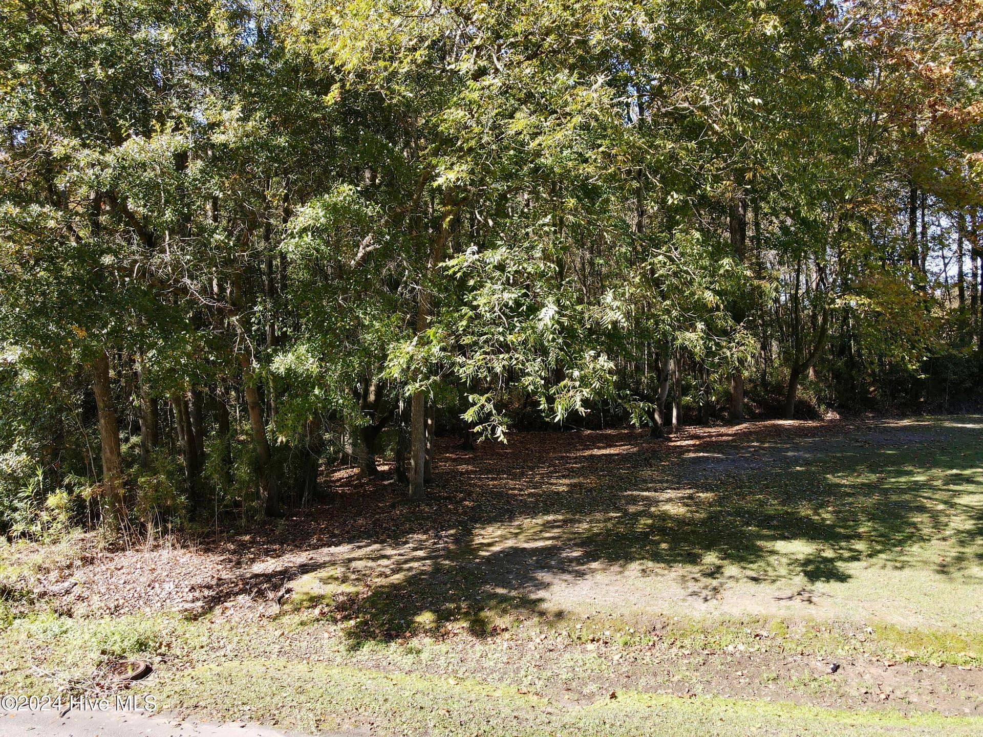 Undeveloped at 1239 Chance Boulevard, Robersonville, NC 27871, photo 2 of 2