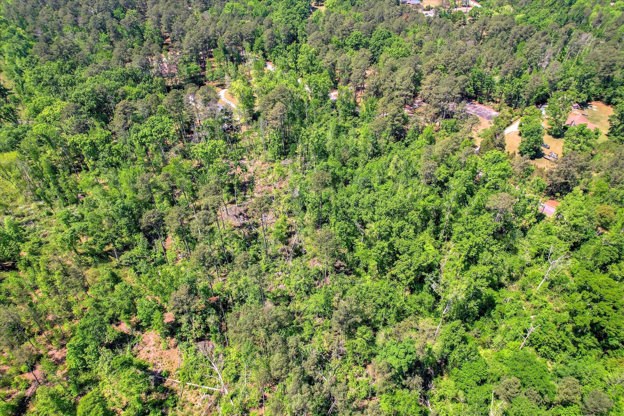 Undeveloped at 6340 Browns Road, Harlem, GA 30814, photo 6 of 8