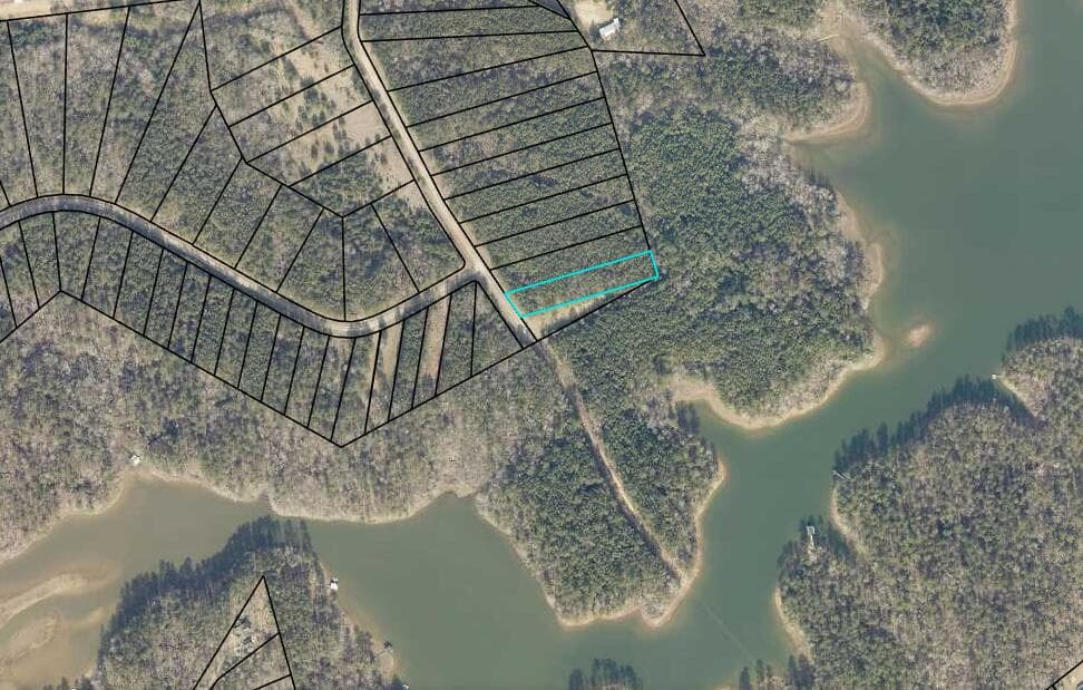 Tax Ariel Screenshot - 1078 13 Clinton-Williams Road, Lincolnton, GA 30817