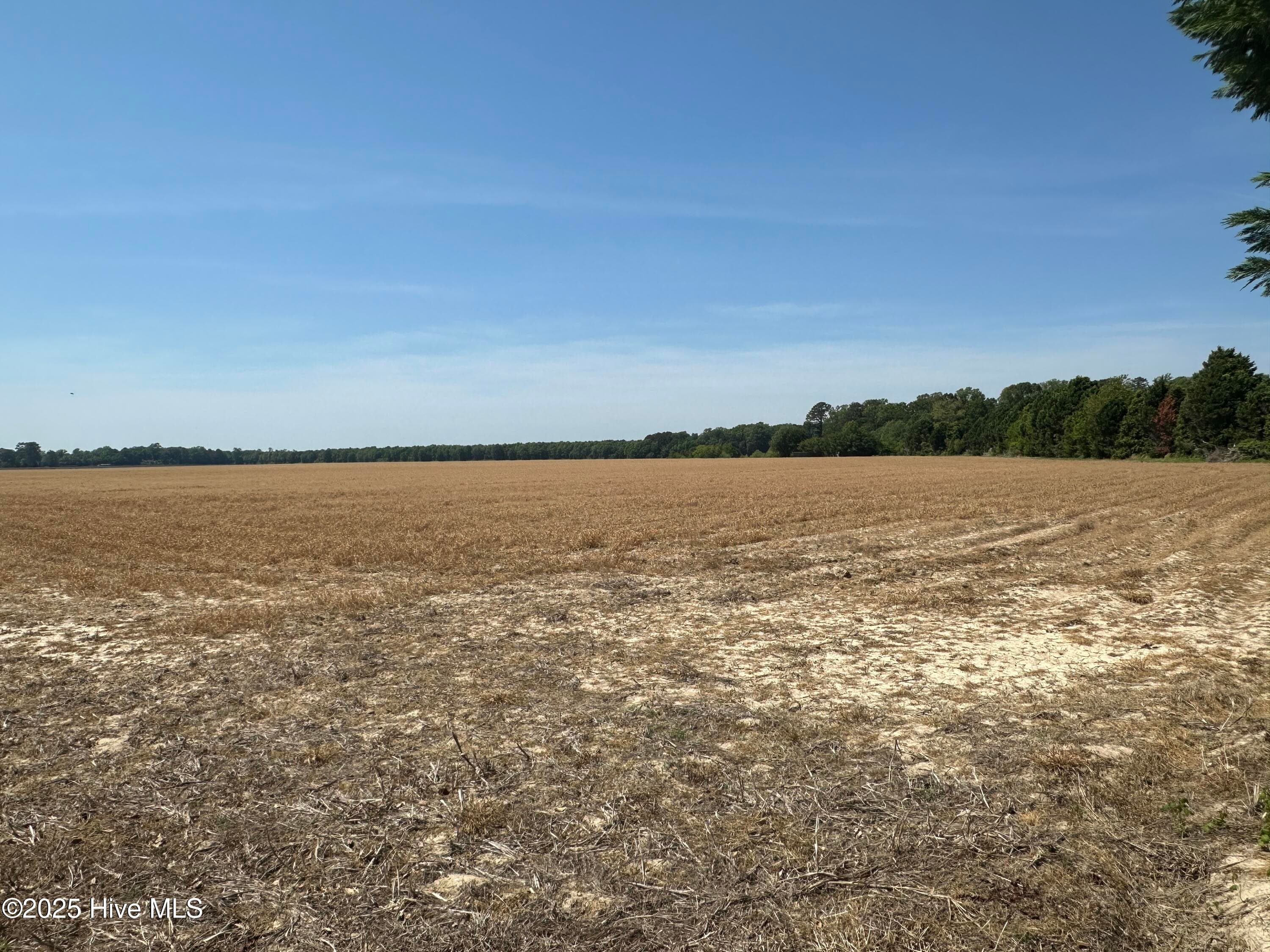 Residential Lot at 101 N Shore Drive, Merry Hill, NC 27957, photo 4 of 4