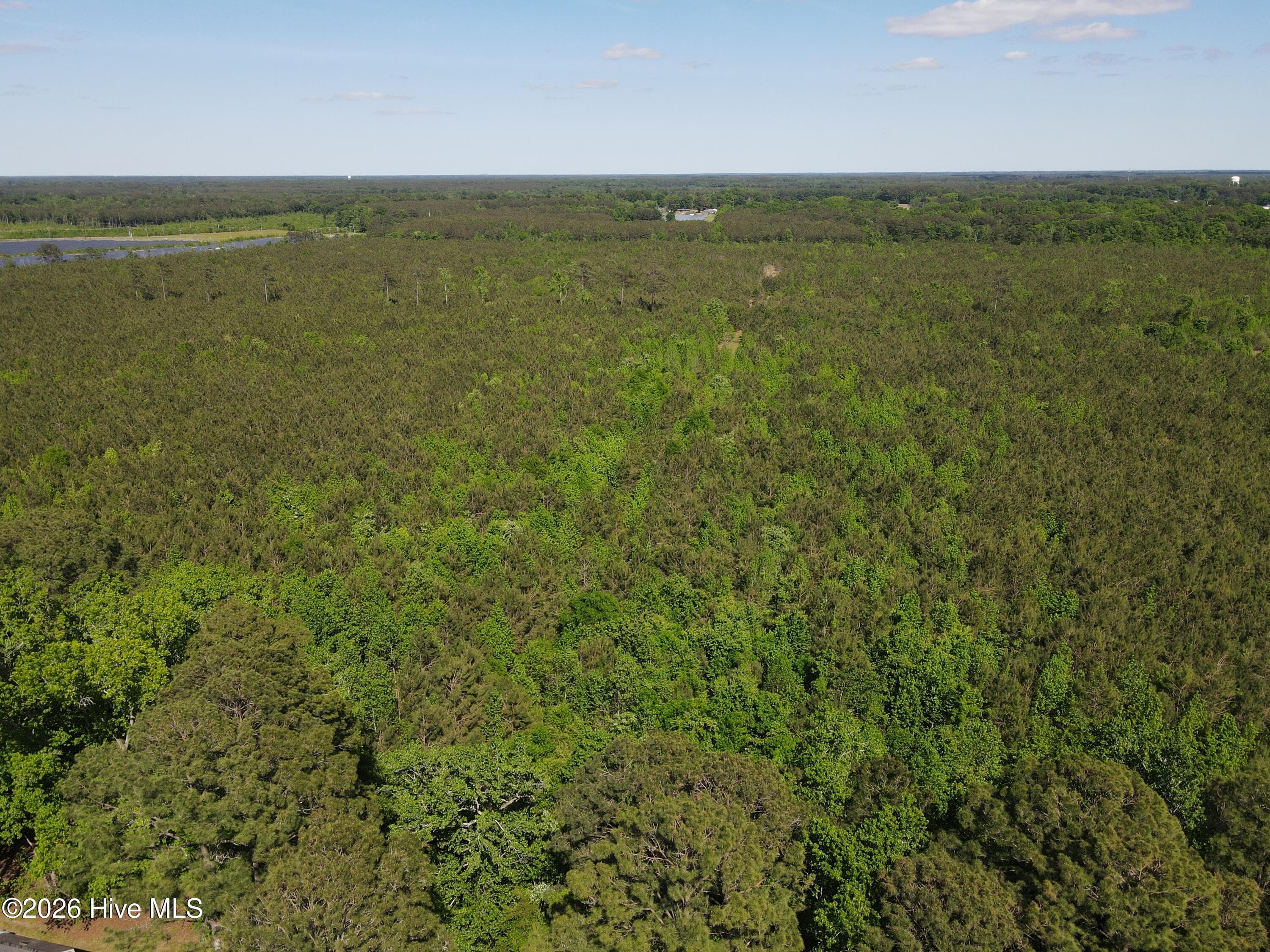 Undeveloped at 0 Colice Hall Lane, Ahoskie, NC 27910, photo 17 of 20