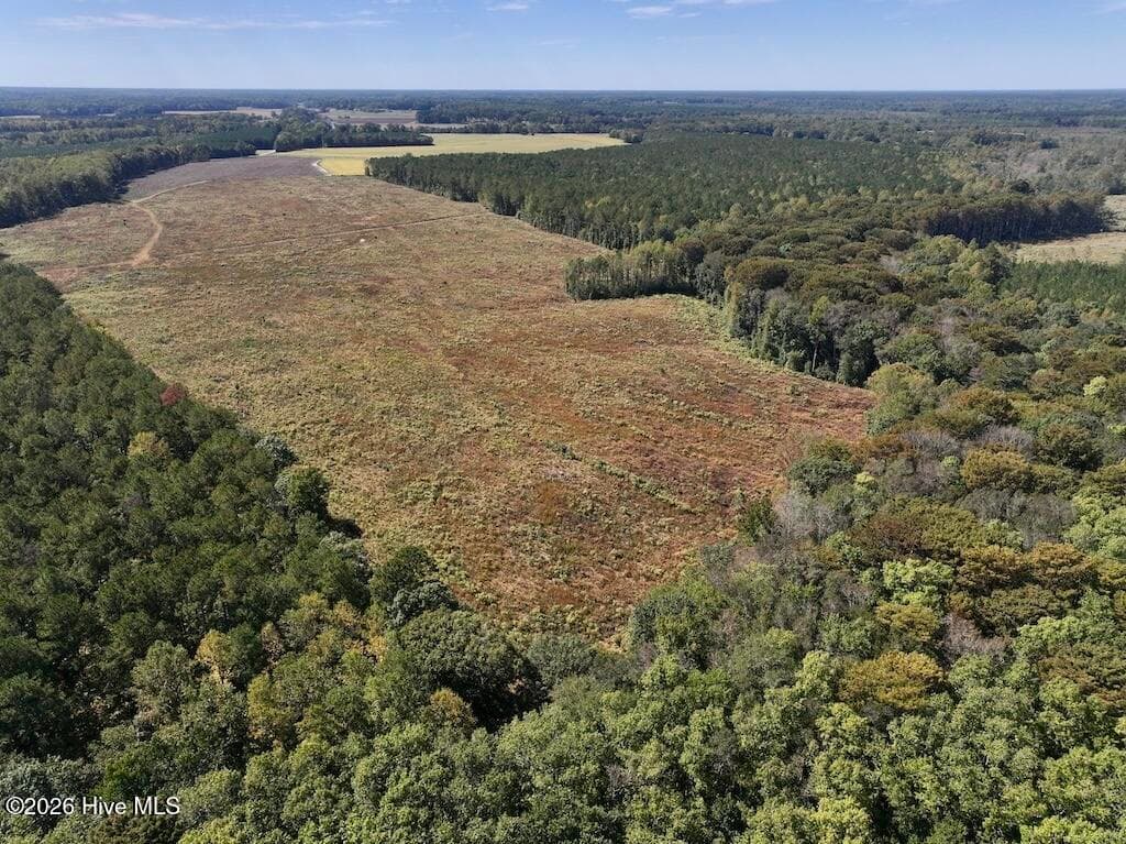Mixed Use at 0 Spring Hill Road, Scotland Neck, NC 27874, photo 35 of 93