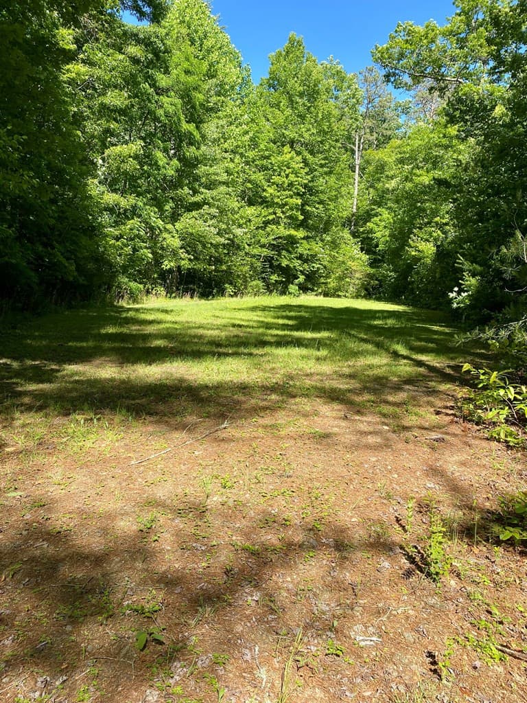 Land at 00 Deer Run, Robbinsville, NC 28771, photo 3 of 8