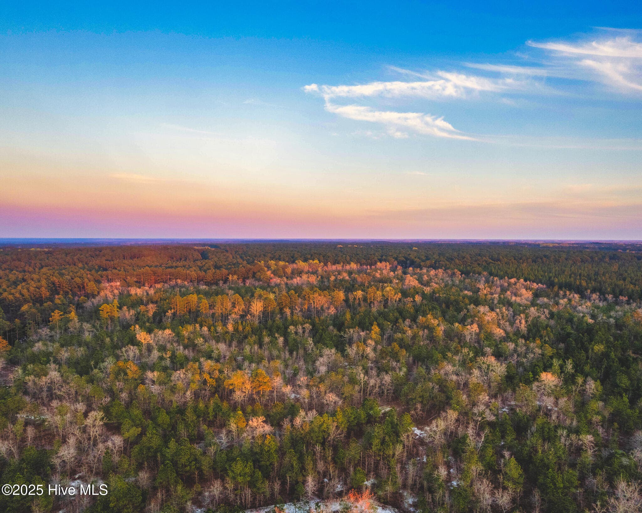 Residential Land at Hwy 15/501, Wagram, NC 28396, photo 5 of 5