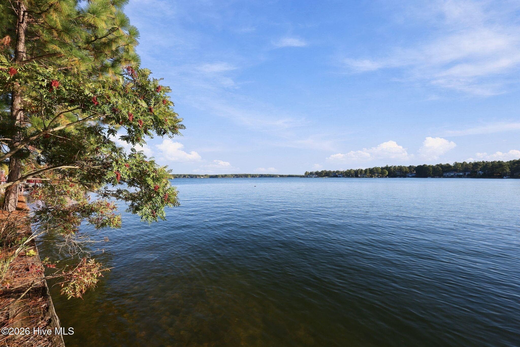 Residential Lot at 144 3104 Simmons Drive, Seven Lakes, NC 27376, photo 15 of 27