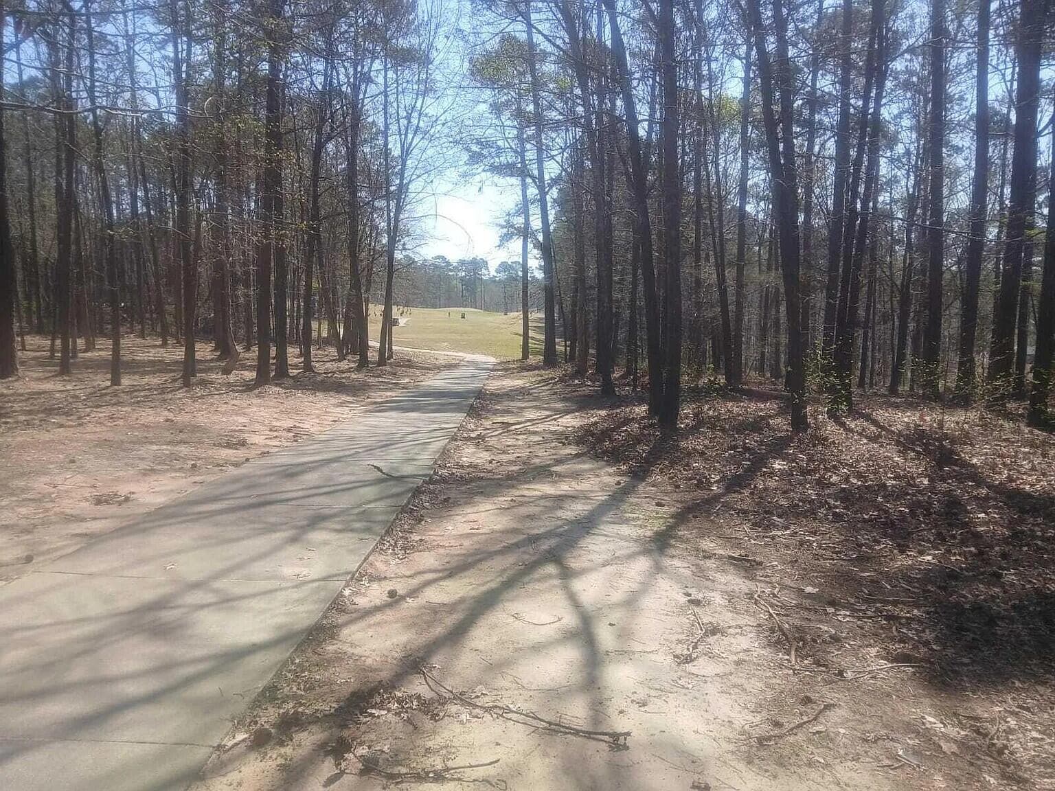 Residential Lot at 19 Belfast Court, North Augusta, SC 29860, photo 5 of 7