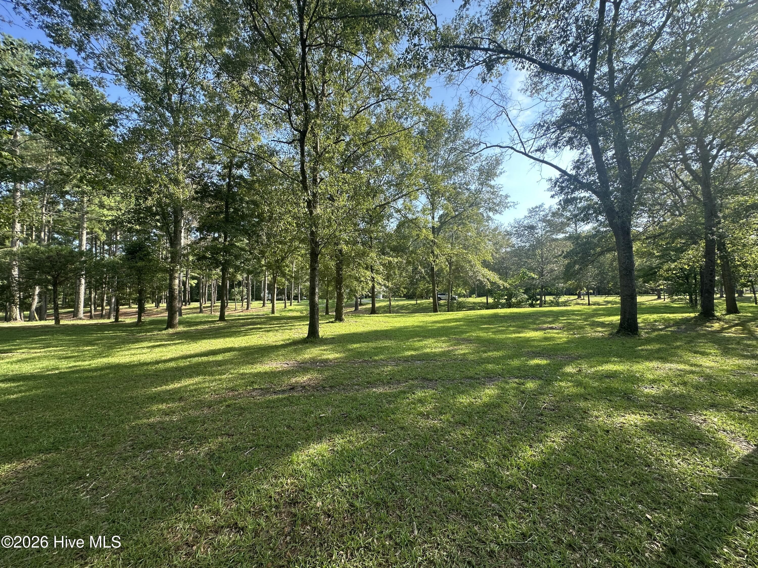 Residential Lot at 43 Black River Lane, Harrells, NC 28444, photo 8 of 15