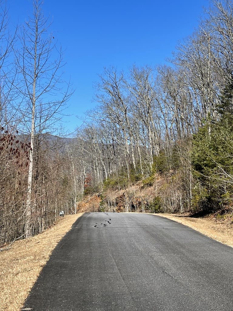Residential Lot at Lot 29j 29J Ash Branch Rd, Hayesville, NC 28904, photo 4 of 5