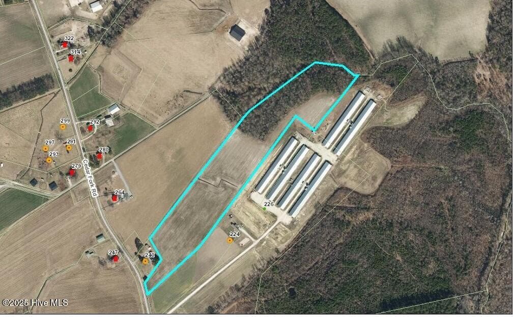 Farm at 000 1 Cedar Fork Road, Beulaville, NC 28518, photo 6 of 7