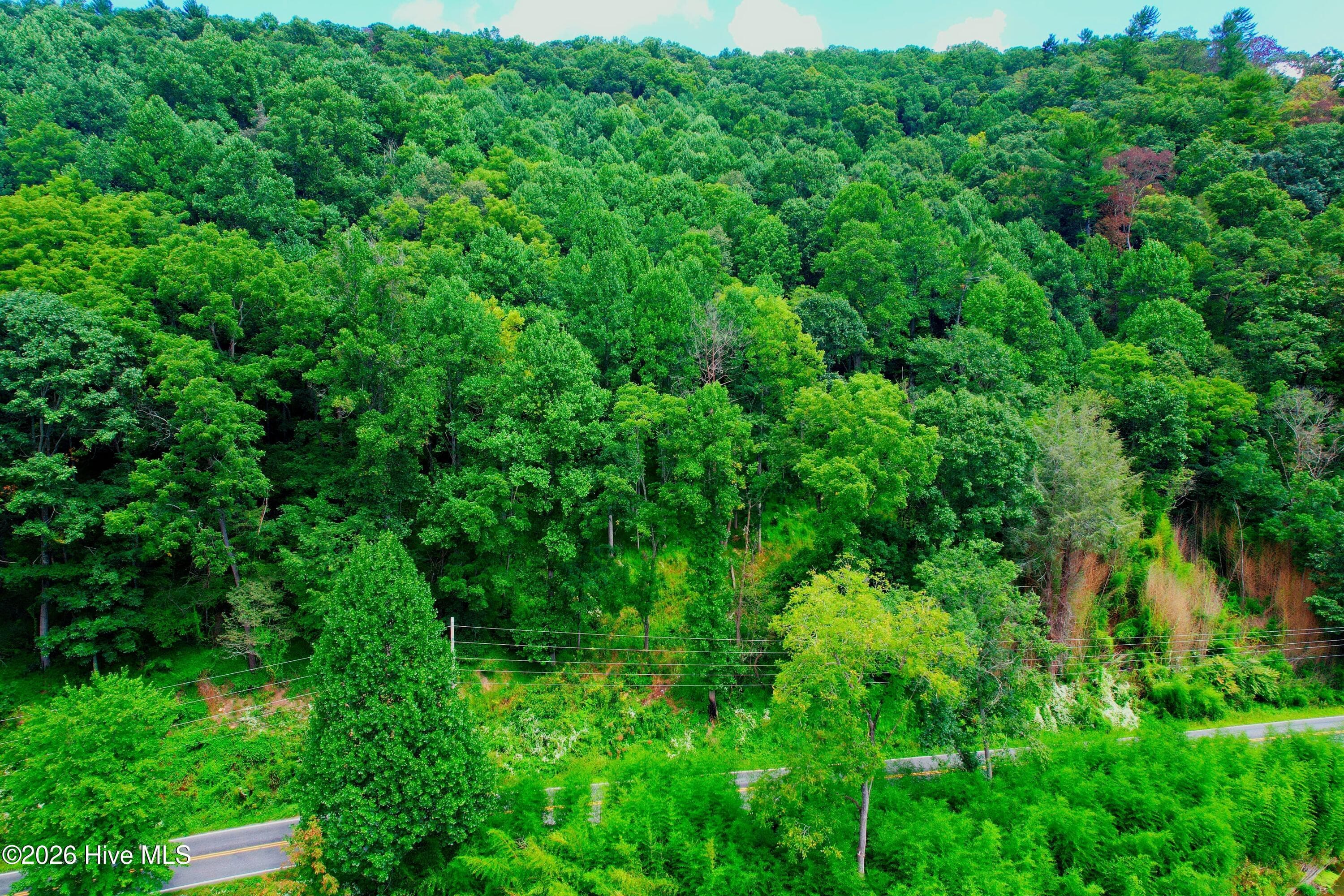 Undeveloped at 2872 Panther Creek Road, Clyde, NC 28721, photo 54 of 82