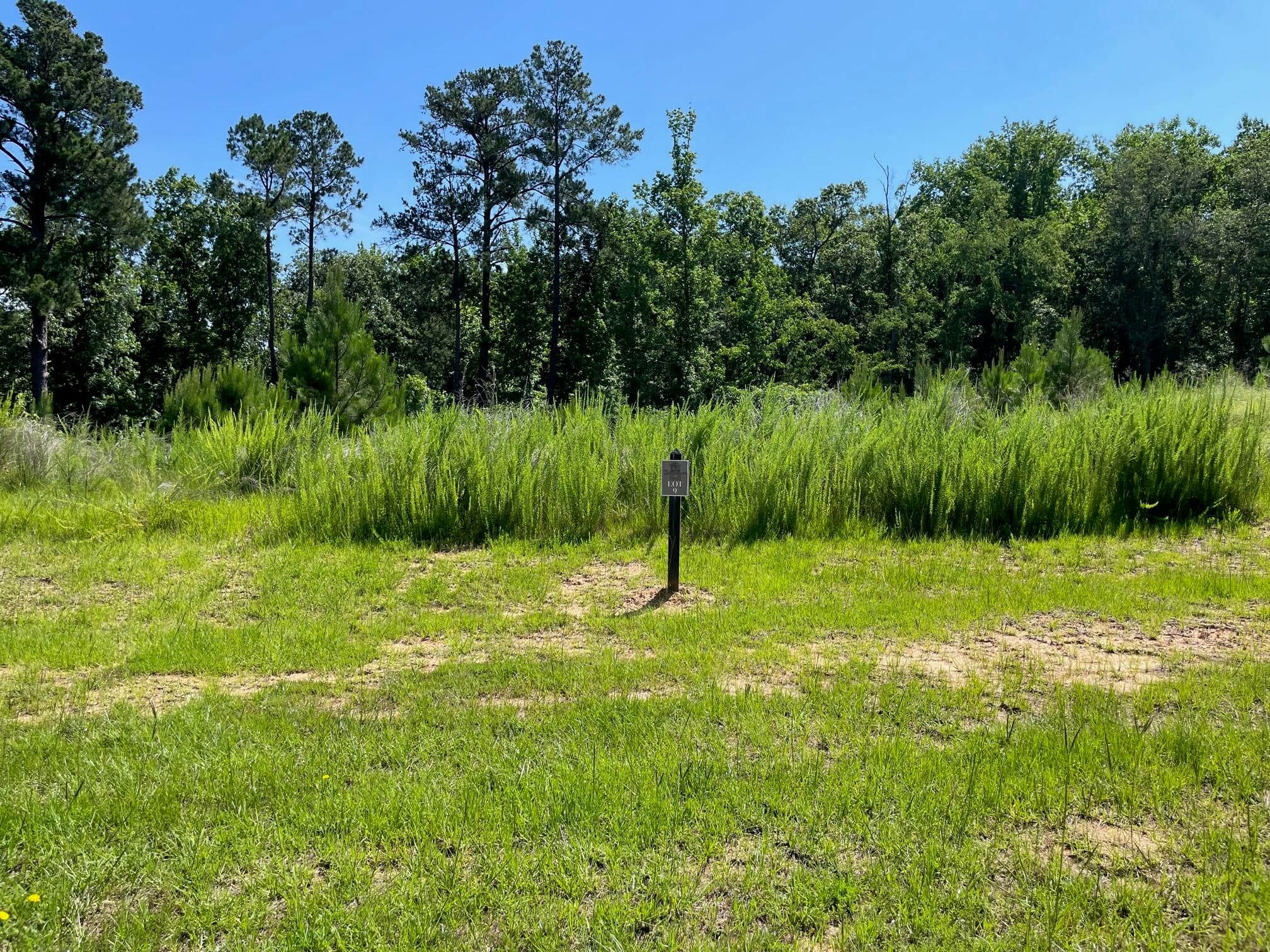Undeveloped at 709 Campana Drive, Evans, GA 30809, photo 2 of 2