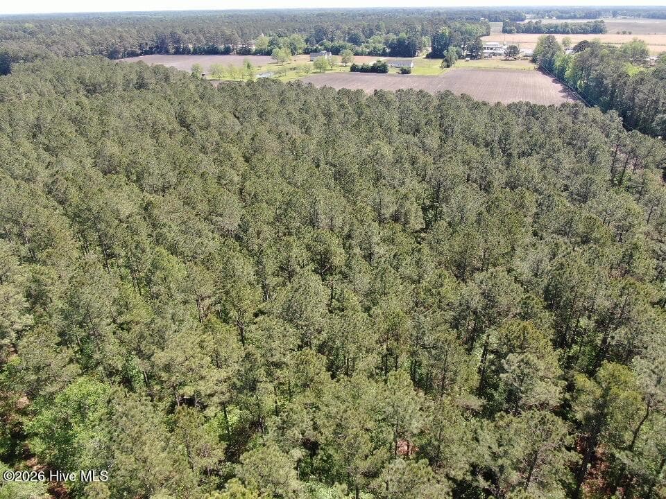Wooded at 20.51 Acre Sweat Drive, Bladenboro, NC 28320, photo 9 of 16