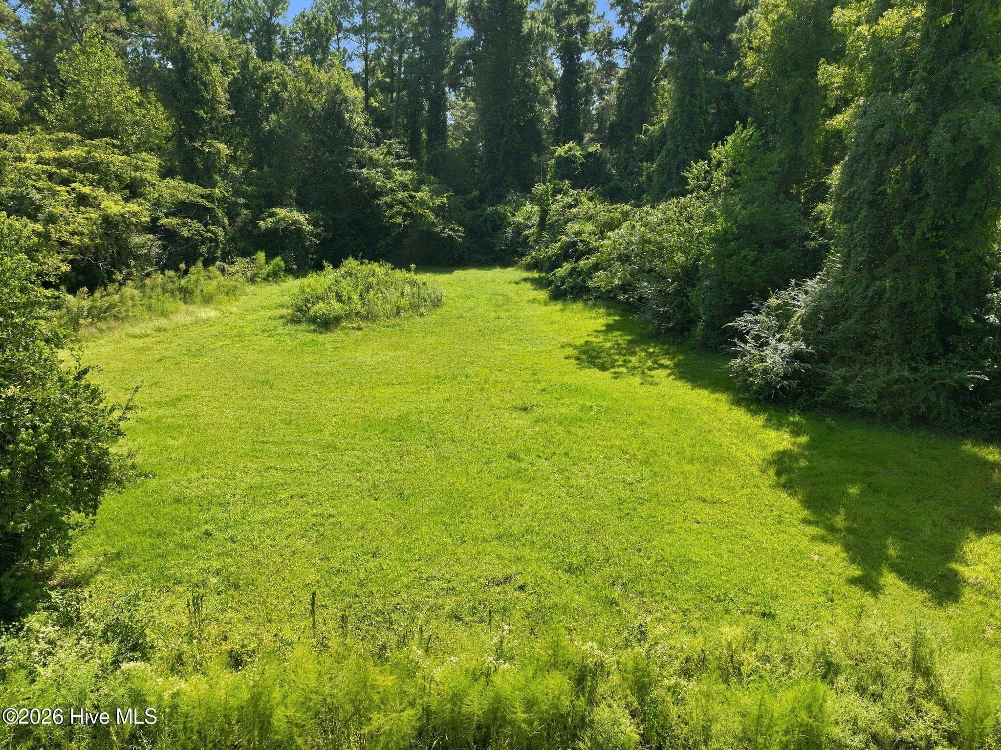 Residential Lot at 119 Mike Loop Road, Jacksonville, NC 28546, photo 5 of 16