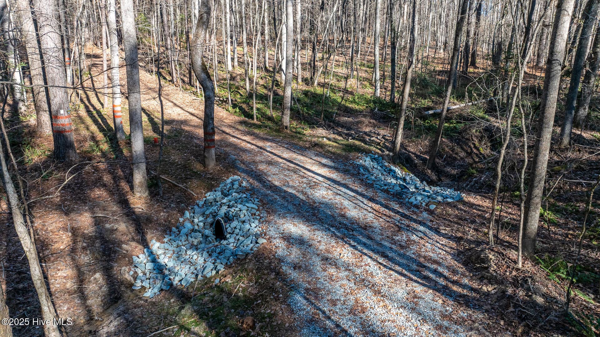 Undeveloped at Off 5 J B Morgan Road, Apex, NC 27502, photo 7 of 21