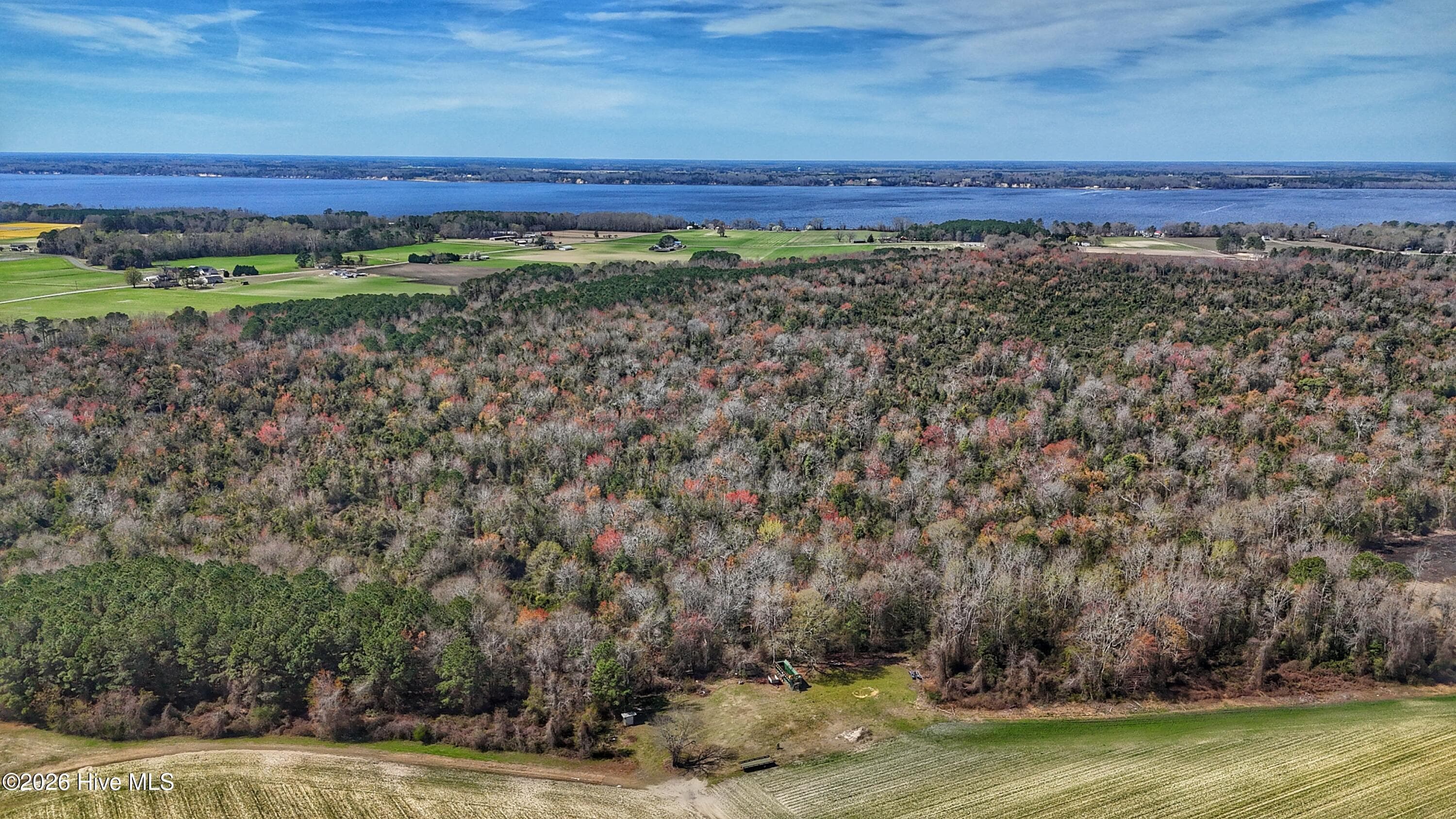 Wooded at 1612 Rocky Hock Landing Road, Edenton, NC 27932, photo 12 of 45