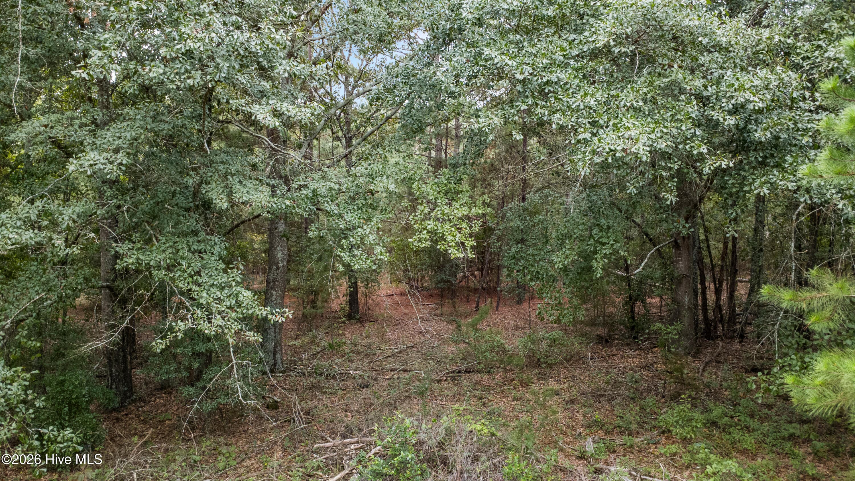 Wooded at 3908 Byrd Road, Augusta, GA 30906, photo 3 of 6