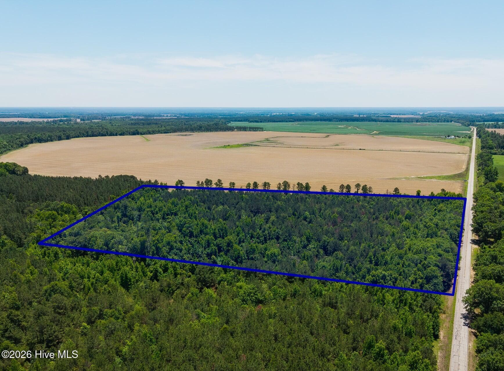 Undeveloped at 18.5 Acres Georgia 305 Highway, Midville, GA 30441, photo 6 of 7