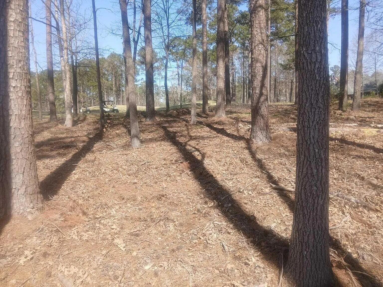 Residential Lot at 19 Belfast Court, North Augusta, SC 29860, photo 3 of 7