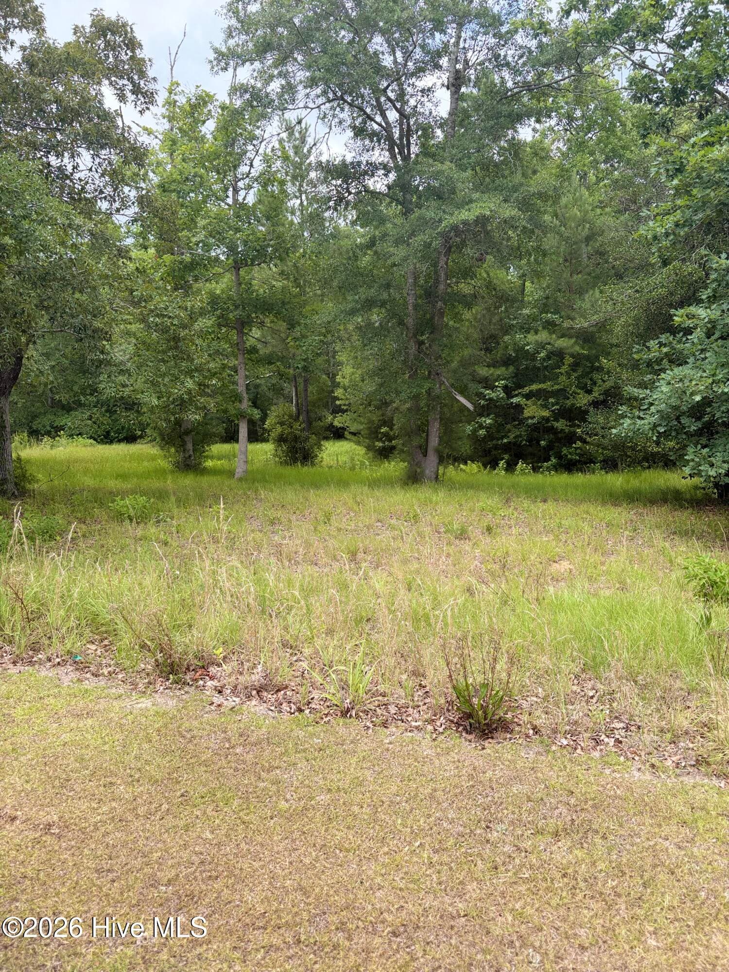 Residential Lot at 535 N Wild Rice Drive SW, Supply, NC 28462, photo 2 of 12