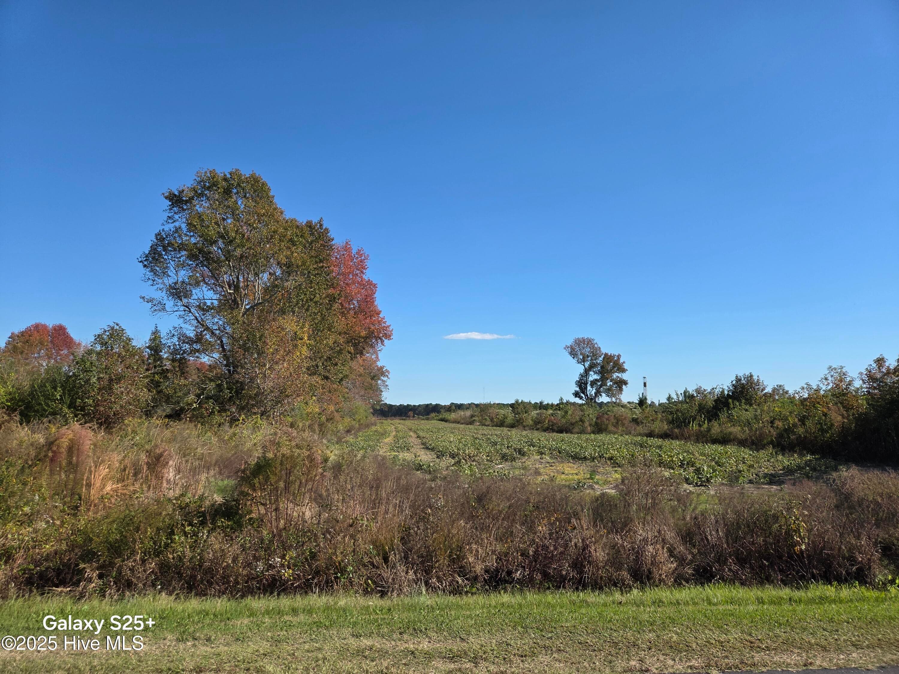 204 2 Whitemon Lane, Edenton, NC 27932