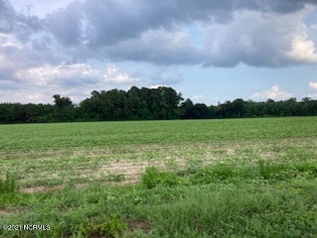 Mixed Use at 0 Waycross Road, Turkey, NC 28393, photo 3 of 5