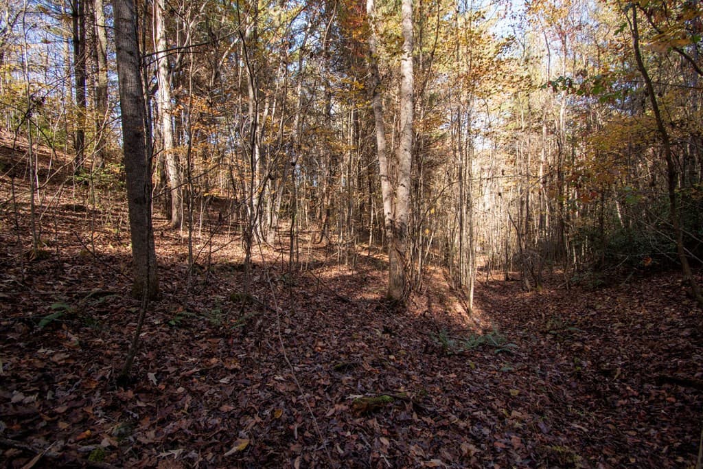 Wooded at Lt 66 66 Choctaw Ridge Trail, Murphy, NC 28906, photo 8 of 10