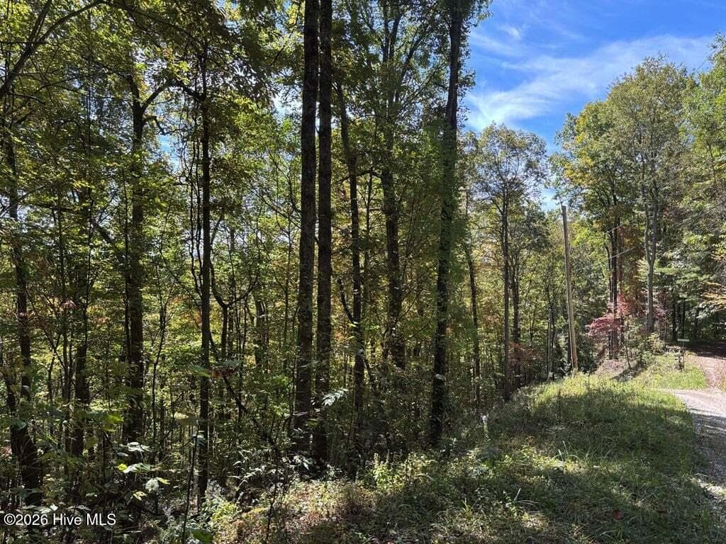 Residential Lot at 3 Holly Ridge Drive, Topton, NC 28781, photo 3 of 3