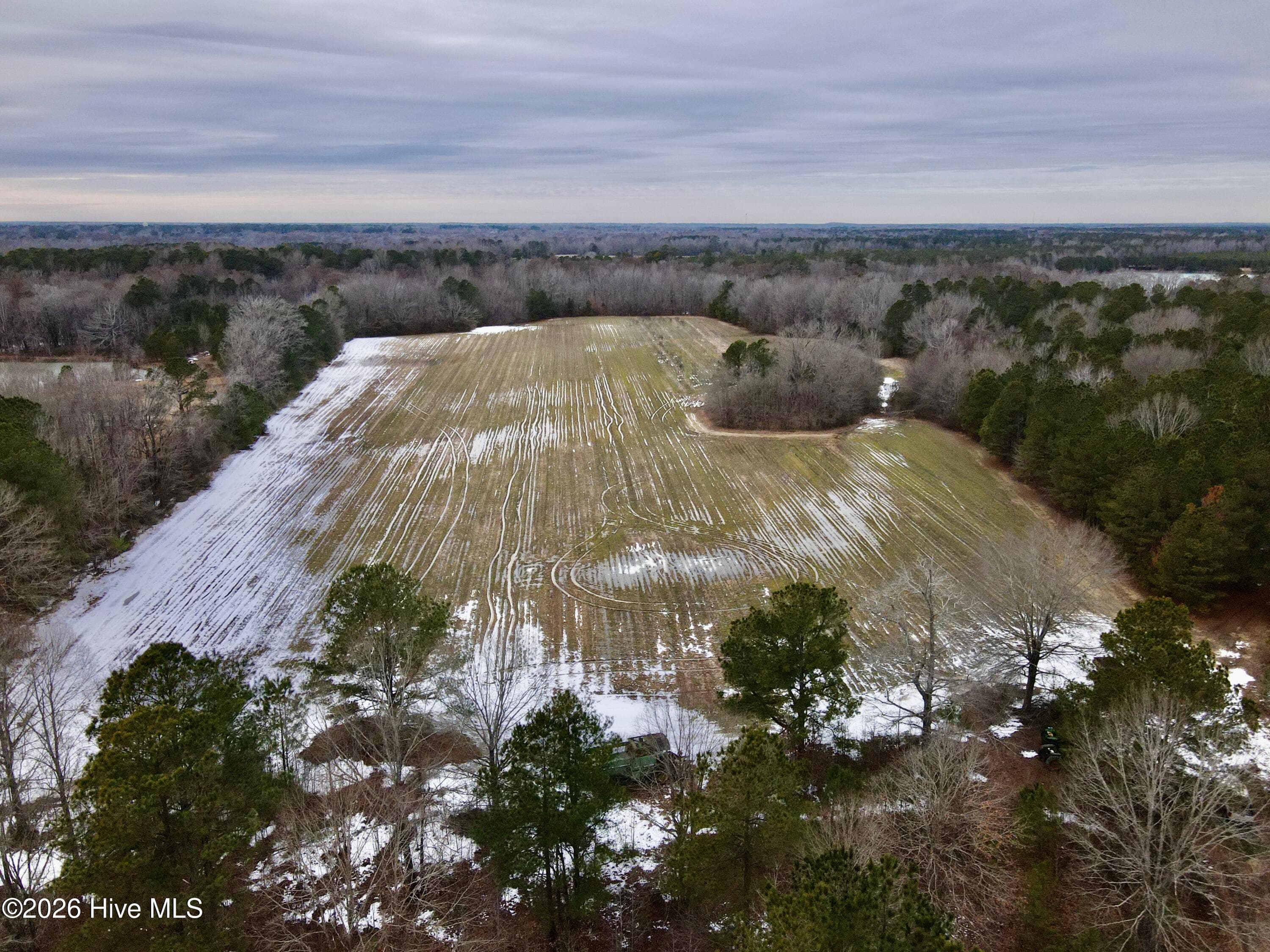 Undeveloped at 1528 S King Street, Windsor, NC 27983, photo 5 of 10