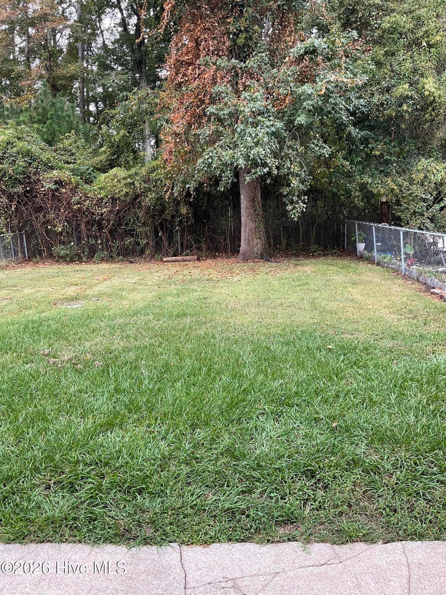 Back Yard - 2113 Rolling Ridge Drive, Midway Park, NC 28544
