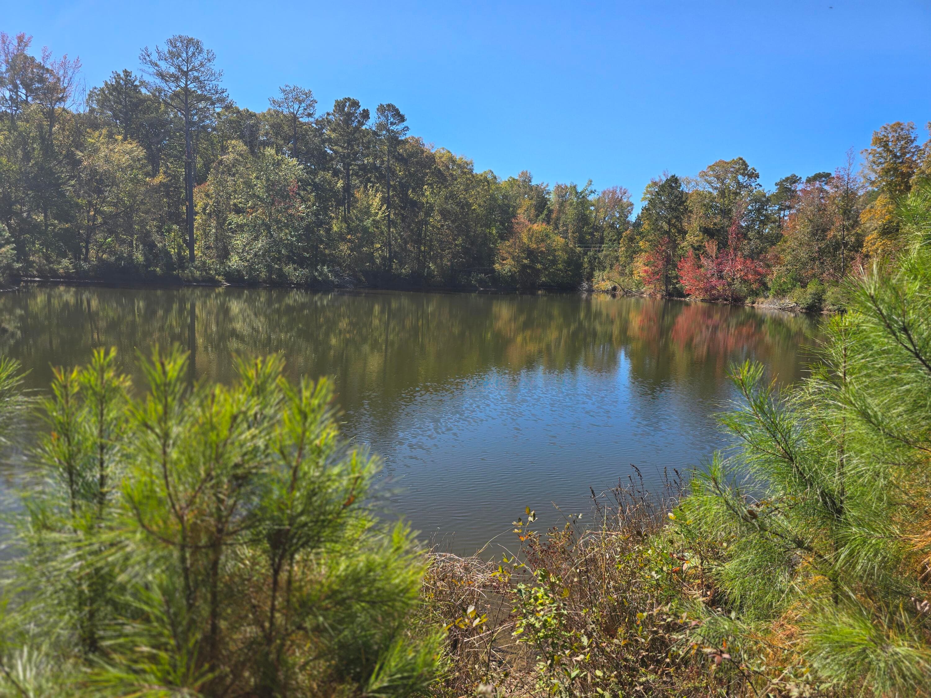 Mixed Use at 7501 Rainey Morris Road, Appling, GA 30802, photo 20 of 47