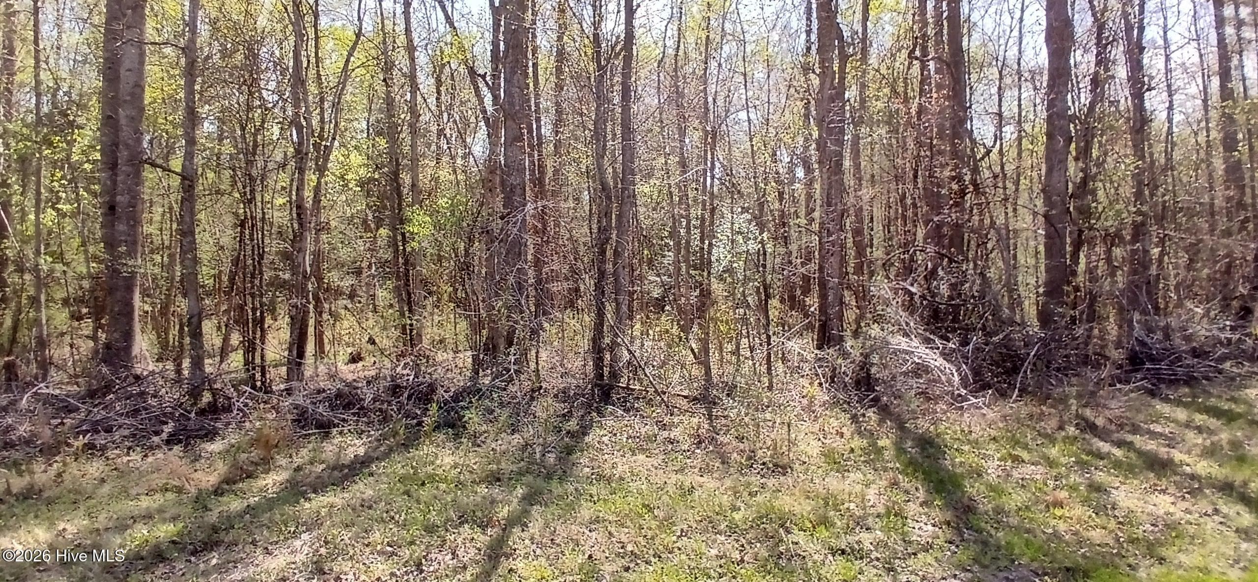 View from Rd. - D07-3 Wood Landing Road, Grantsboro, NC 28529