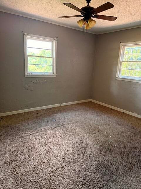 Single Family Residence at 2020 1st Avenue, Augusta, GA 30901, photo 7 of 12