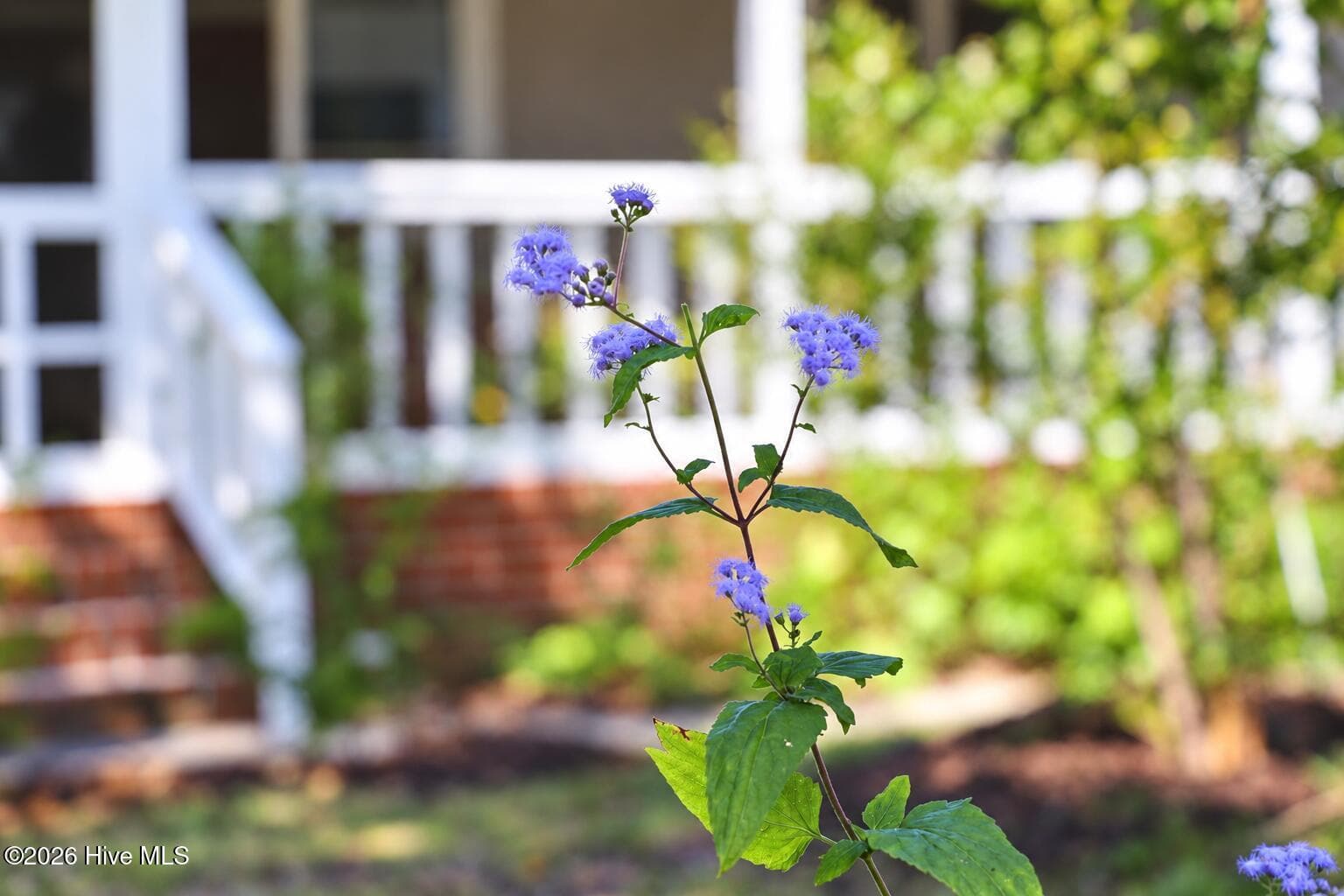 Single Family Residence at 320 Northern Boulevard, Wilmington, NC 28401, photo 106 of 159