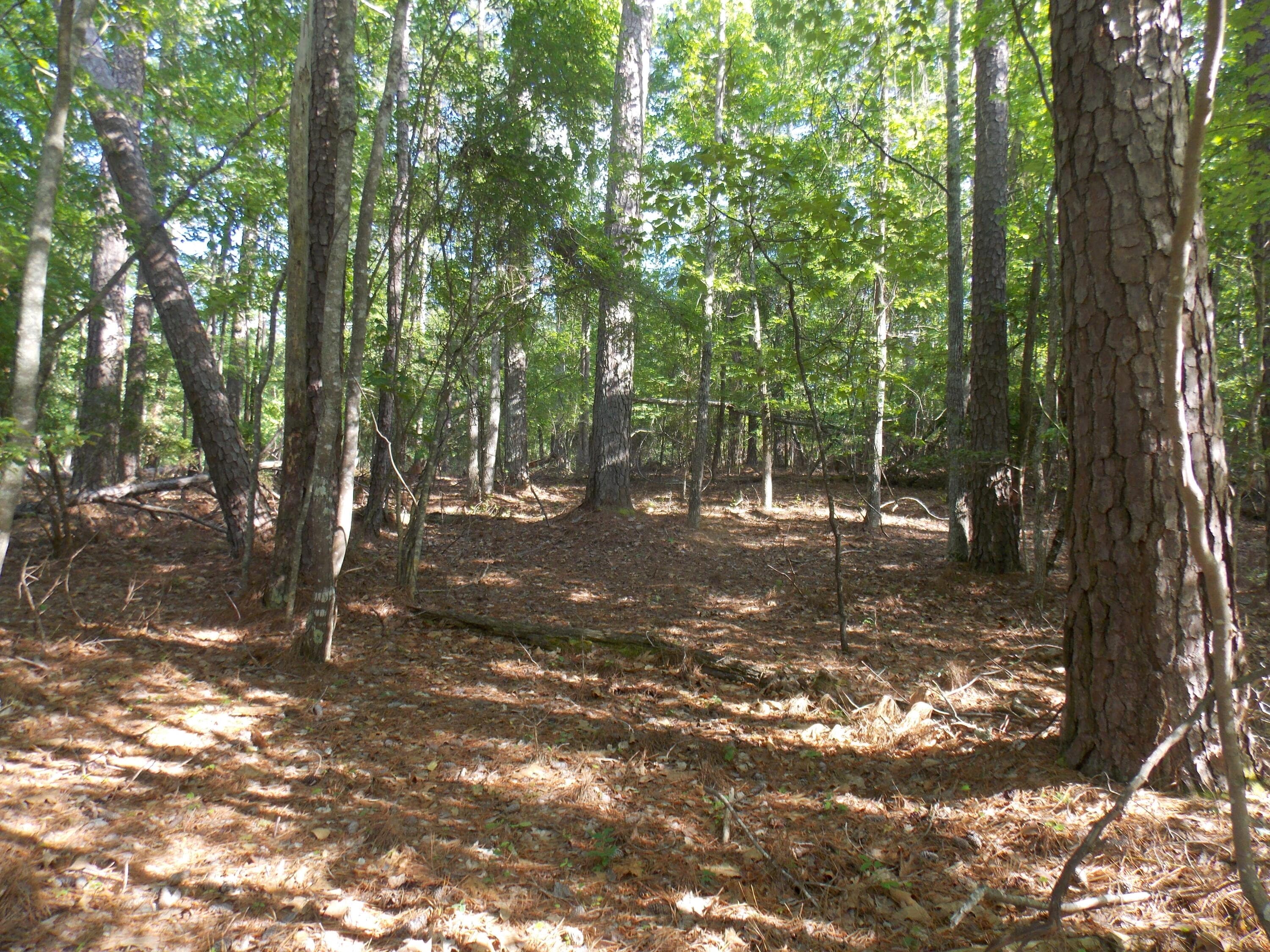 Residential Lot at 12 12 Riverview Court, Lincolnton, GA 30817, photo 3 of 5