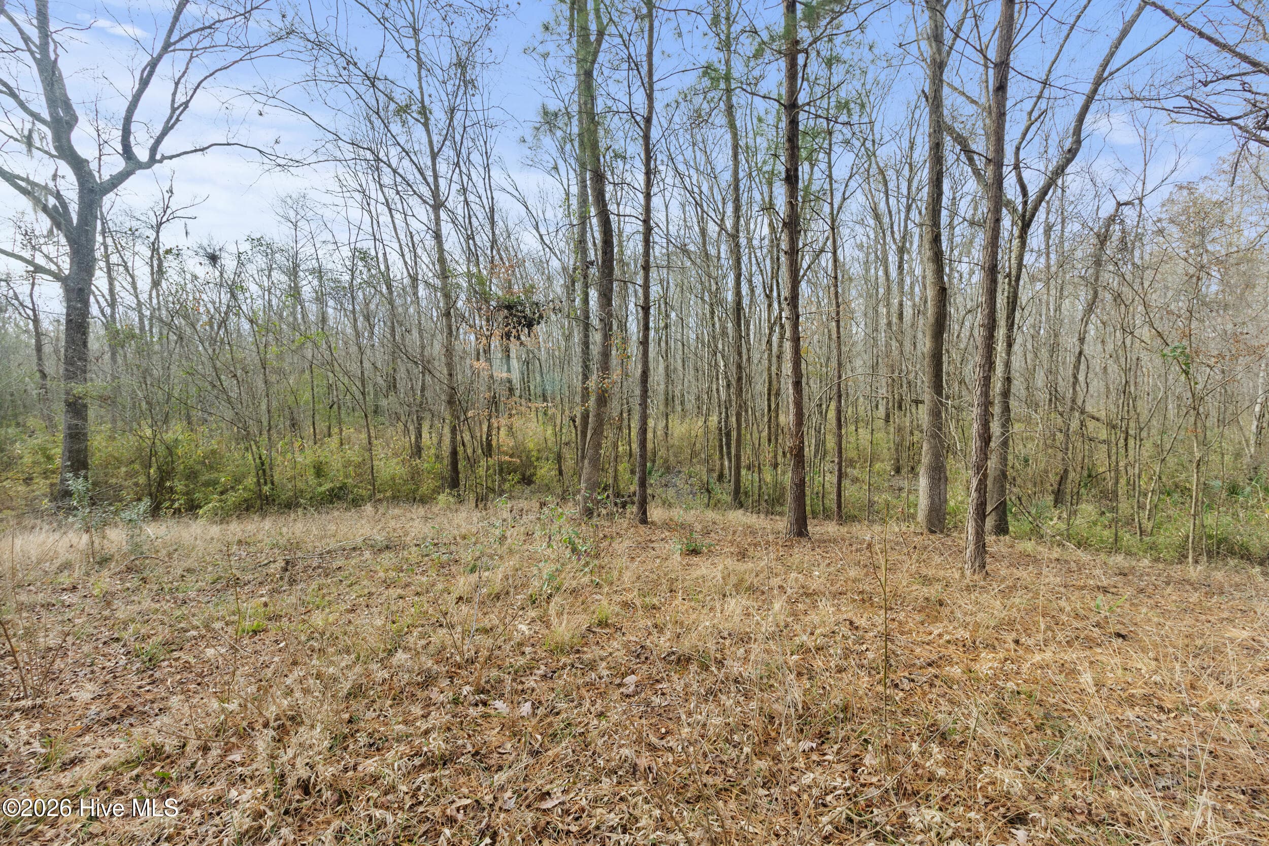 Undeveloped at 2711 Old Airport Road, New Bern, NC 28562, photo 6 of 23