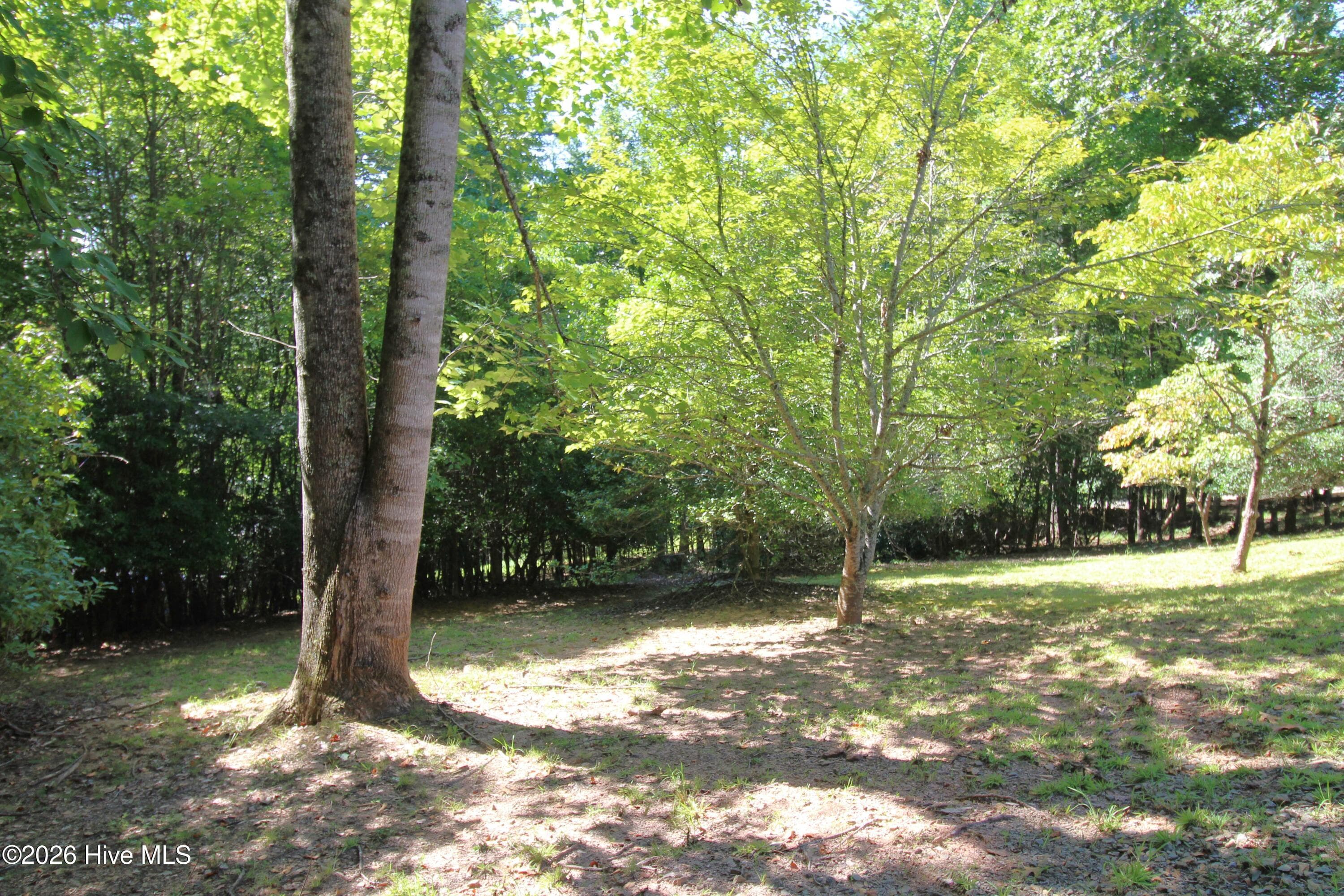 Yard - 46 Arthur Ridge, Brasstown, NC 28902