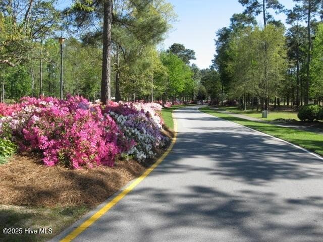 What a wonderful entrance to your new home and community! - 526 57 Lindgrove Place SW, Ocean Isle Beach, NC 28469