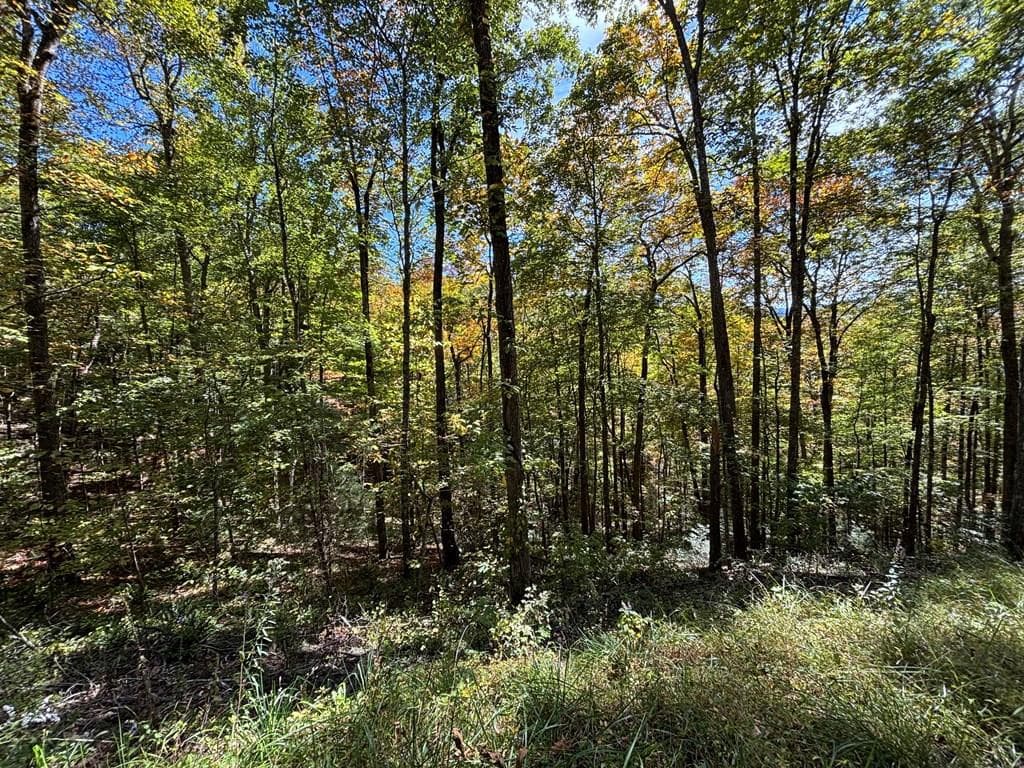 Lots 3 & 4 2&3 Holly Ridge Road, Topton, NC 28781