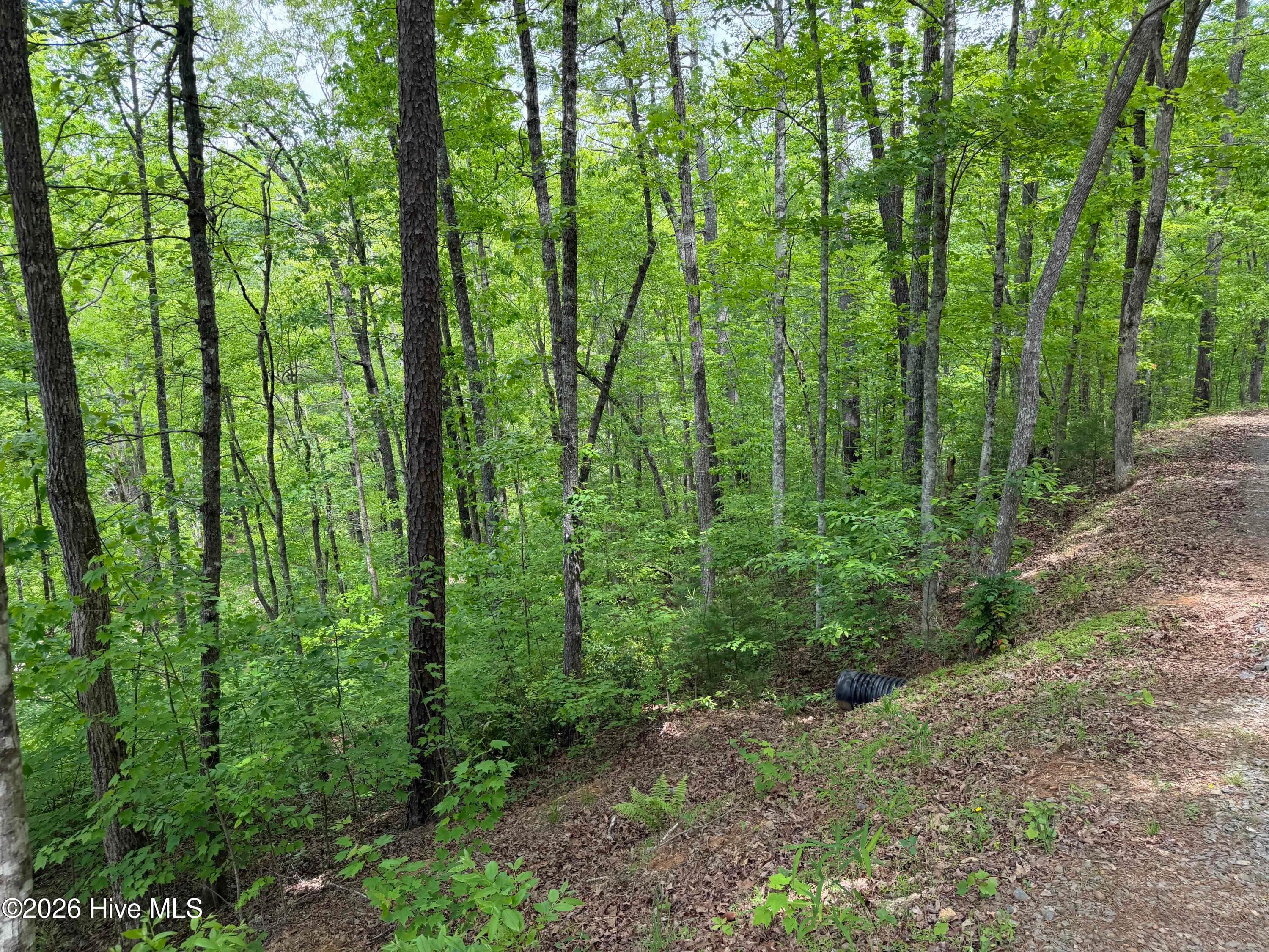 Residential Lot at Multi Lots Black Fox Drive, Murphy, NC 28906, photo 14 of 15