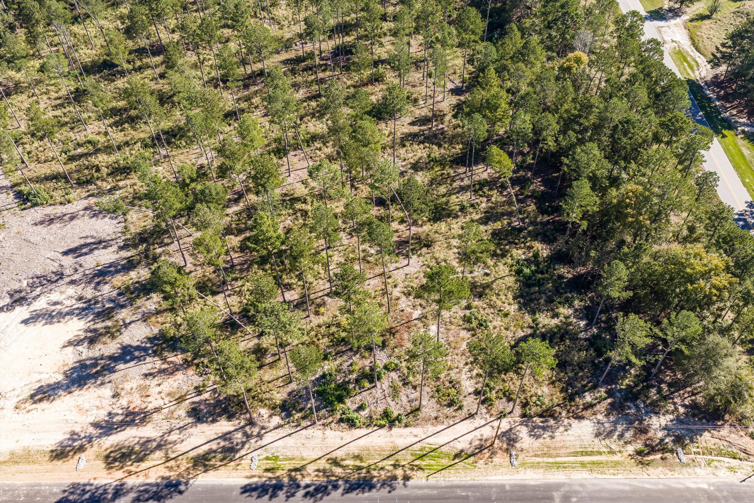 Residential Lot at 119 Beagle Chase Drive, Appling, GA 30802, photo 6 of 6