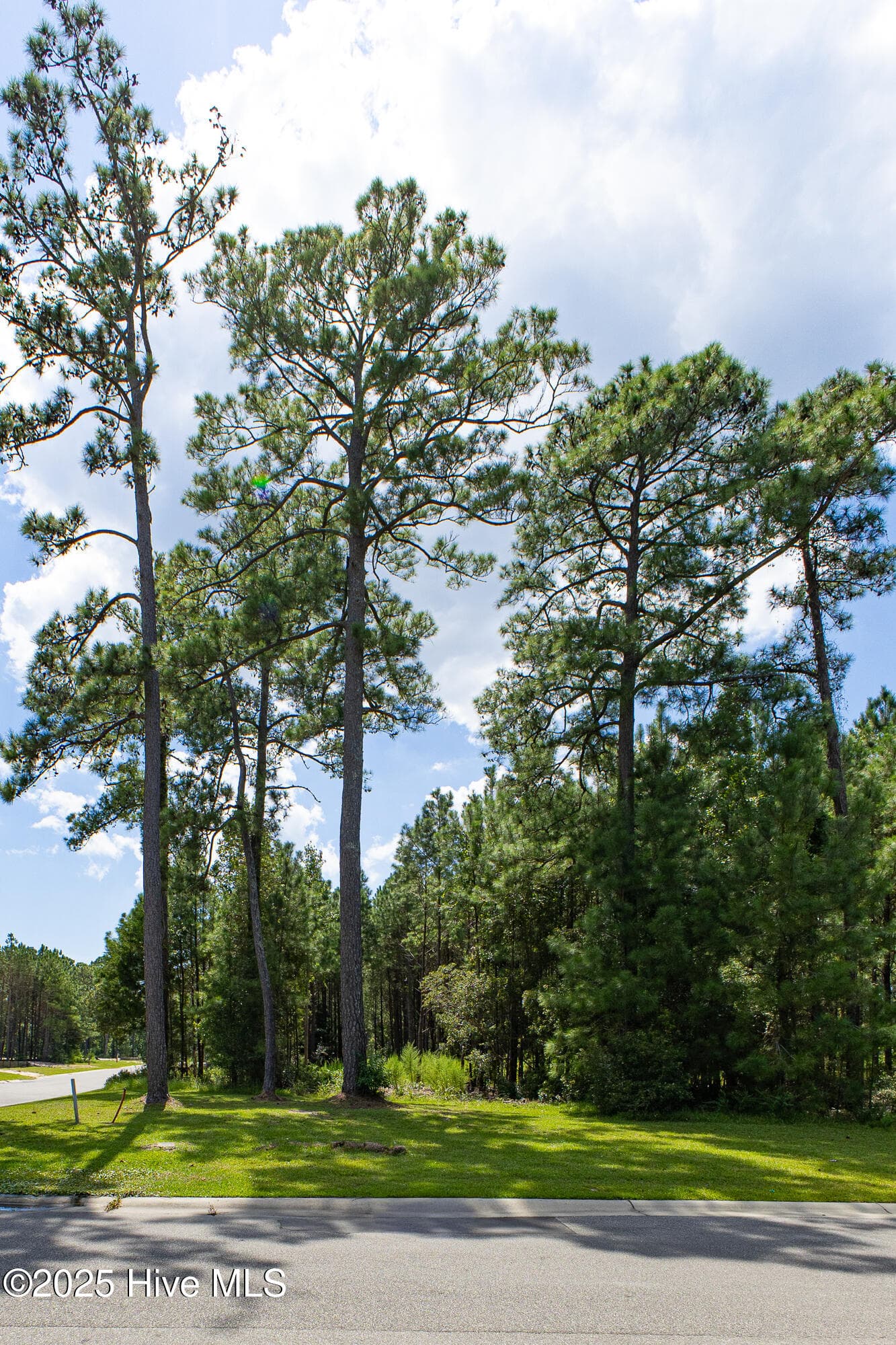 Wooded at 1559 125 N Bimini Road, Shallotte, NC 28470, Shallotte, photo 16 of 16