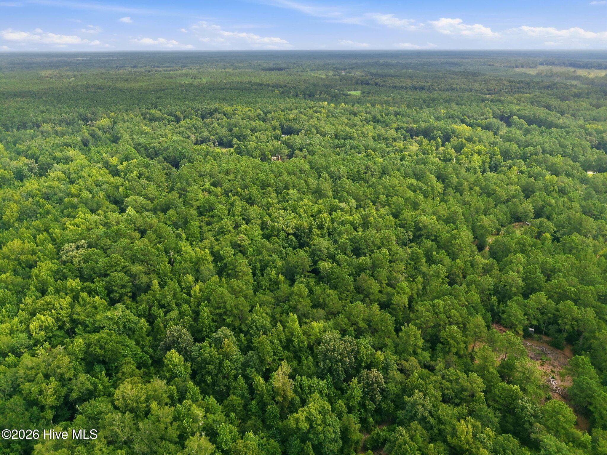 Undeveloped at 0 Copperhead Lane, Burgaw, NC 28425, photo 14 of 24