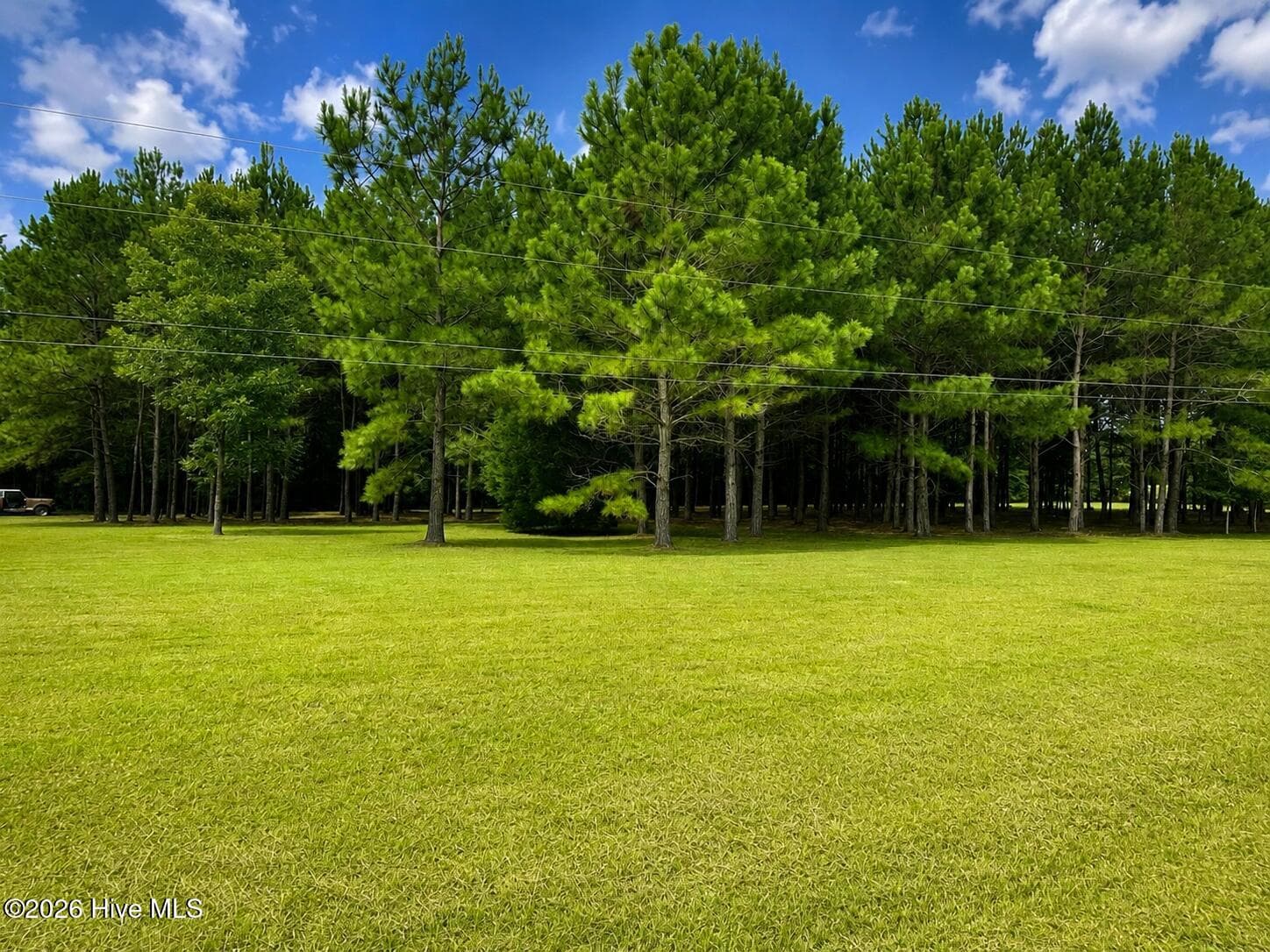 Residential Lot at 28 Bunn Road, Kenly, NC 27542, photo 6 of 11