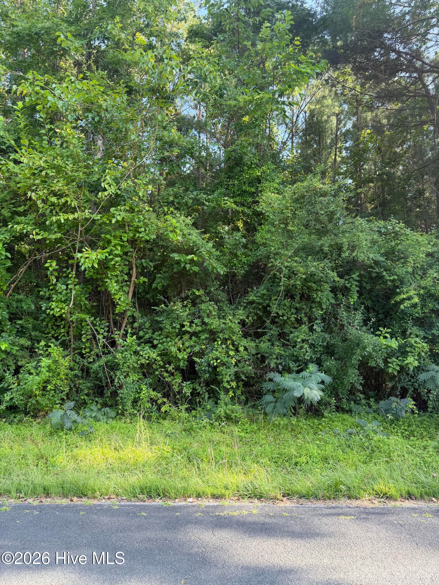 1199 8 Green Springs Road, New Bern, NC 28560