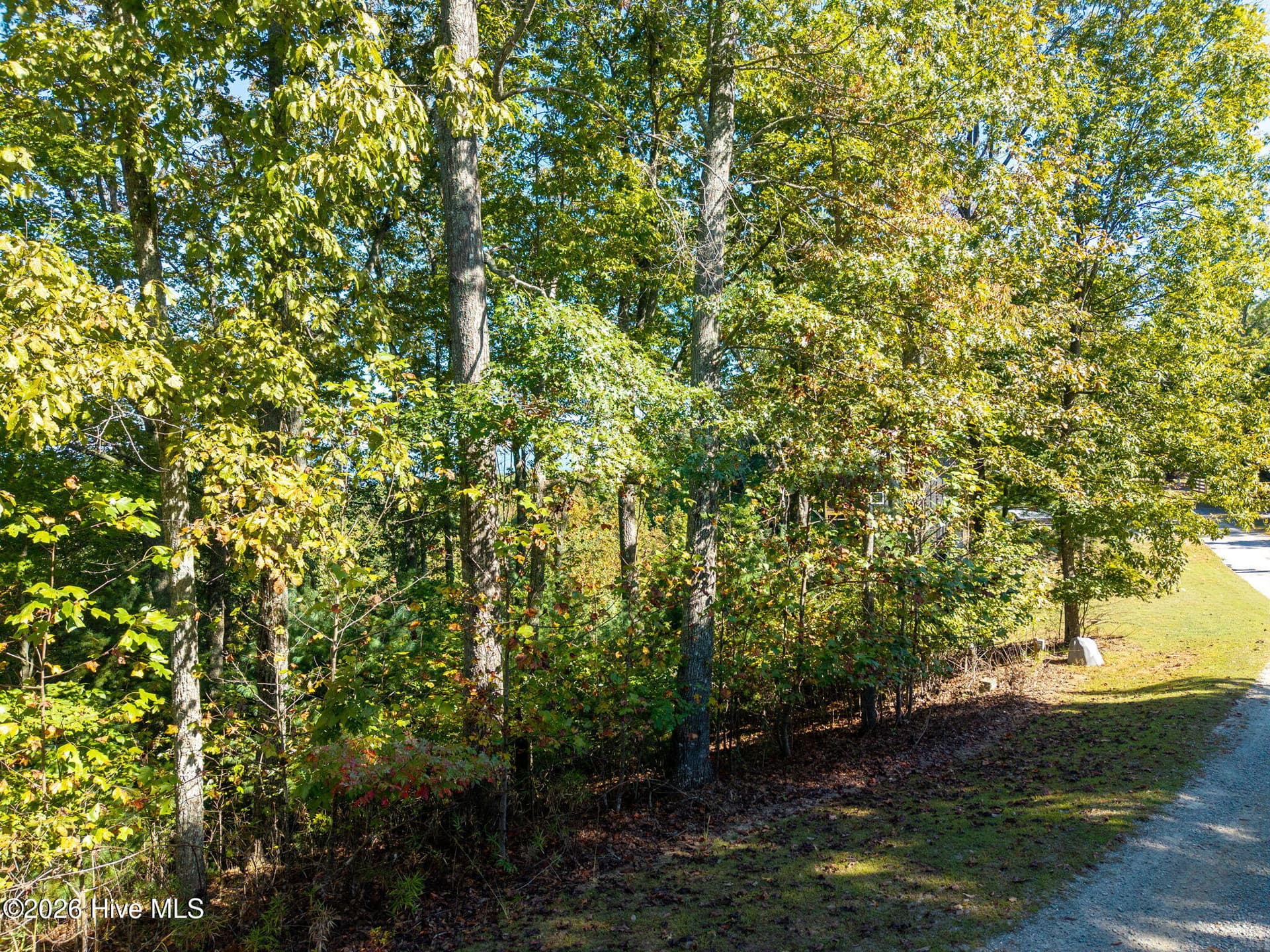 Residential Lot at 310 Skyland Trail, Murphy, NC 28906, photo 23 of 26